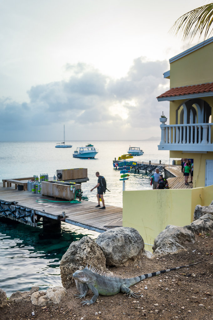 2016-Bonaire-5.jpg